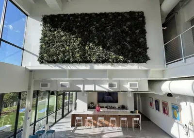 Living Walls for Corporate Offices