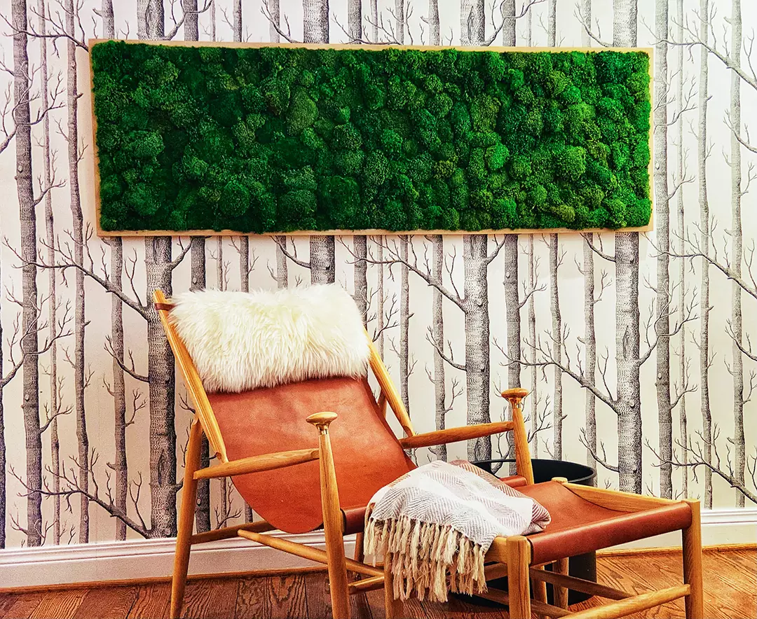 Green wall art, Moss Walls, Preserved moss Wall